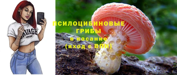 молекула духа Красноперекопск