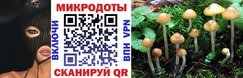 Галлюциногенные грибы мицелий  продажа наркотиков  Тайшет 