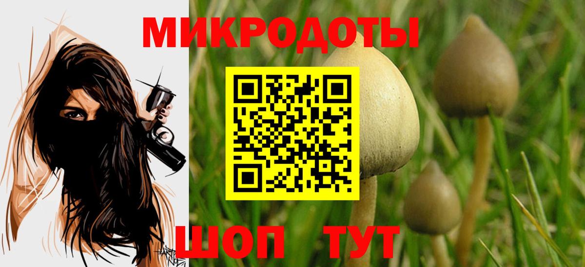 купить   Галлюциногенные грибы мухоморы  Тайшет  Псилоцибиновые грибы мухоморы 