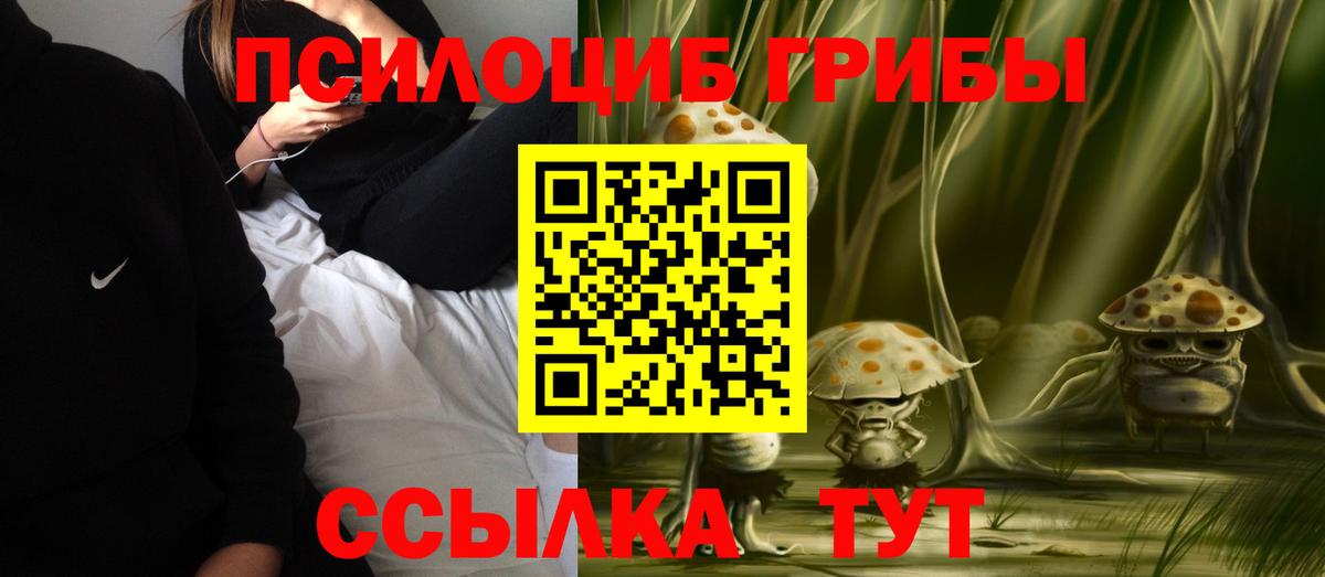 Галлюциногенные грибы Psilocybe  Вход с VPN  Тайшет  Псилоцибиновые грибы мицелий 