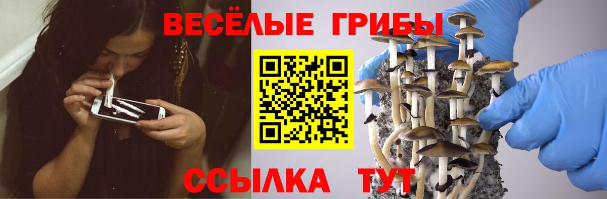 Псилоцибиновые грибы MAGIC MUSHROOMS Тайшет